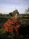 dans la campagne