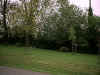 pelouse